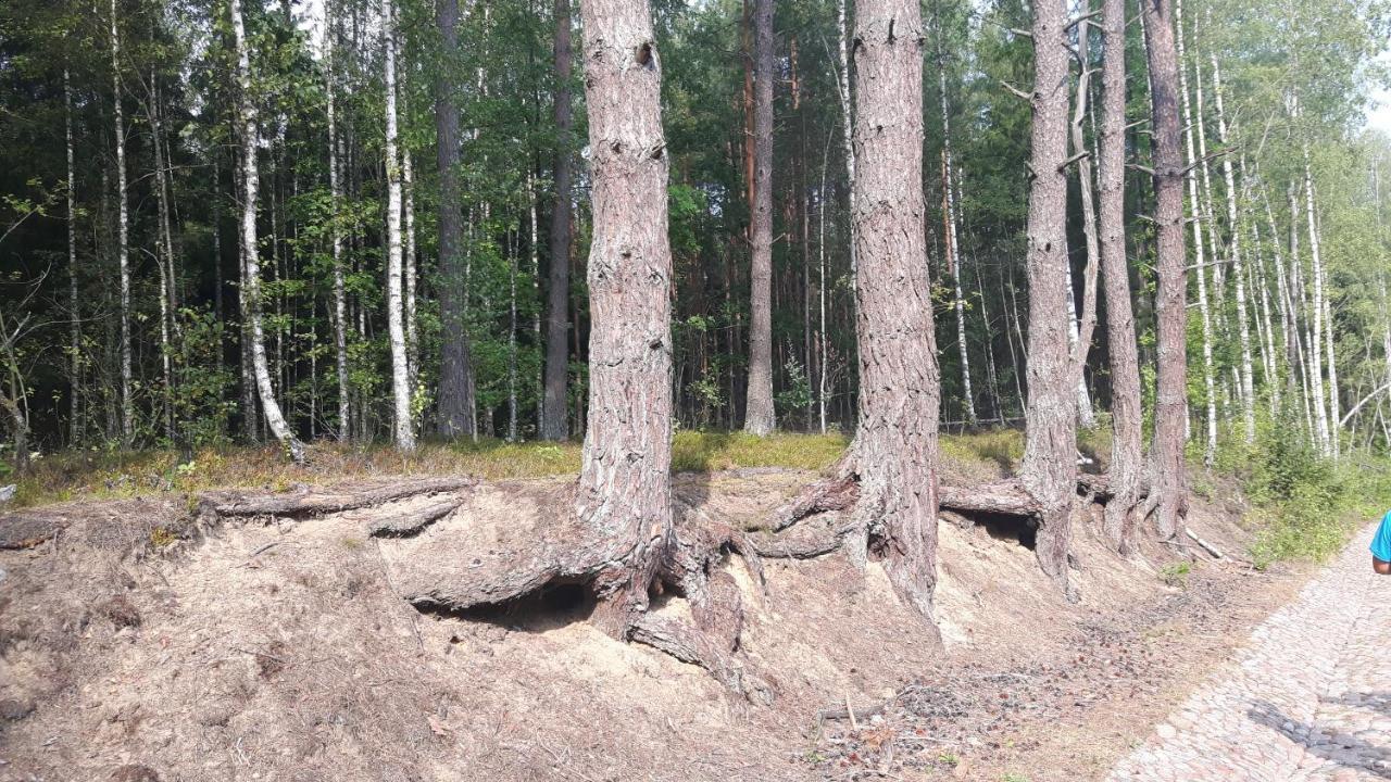 Апартаменты Bakusiowy Zakatek Lipowo Kurkowskie Экстерьер фото