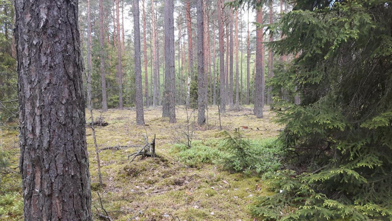 Апартаменты Bakusiowy Zakatek Lipowo Kurkowskie Экстерьер фото